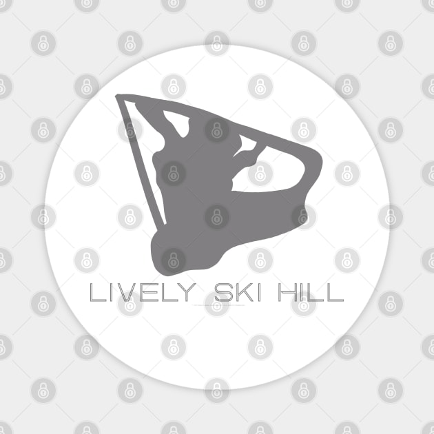 Lively Ski Hill Resort 3D Magnet by Mapsynergy